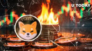 سرعت سوختگی Shiba Inu 7.240 ٪ ، بیش از 1.1 میلیارد Shib Vanish