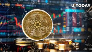 1.3 میلیارد میلیارد علاقه CARDANO ، آیا این جزیره بالاخره آماده بازیابی است؟