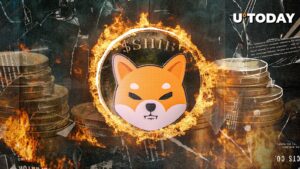 Shib Burns Skyrocket 2.085 ٪ ، قیمت با کاهش غافلگیرانه واکنش نشان می دهد