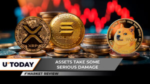 آیا XRP به 3 دلار باز می گردد؟ Solana (سمت چپ) در آستانه از دست دادن 200 دلار ، Dogecoin (Doge) تقریباً 250 ٪ سود کسب کرد
