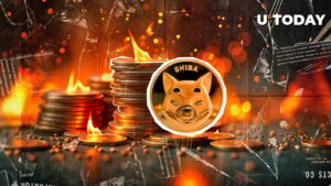 shiba inu ، قیمت بیش از 15 میلیون لب سوخته است