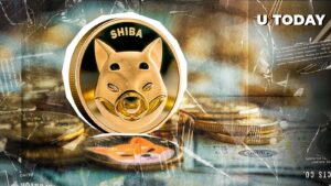 170.000،000 دلار: Shiba Inu (Shib) بینی با علاقه باز