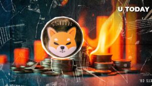 Shib Burns ، 15.161.271 Shib برای همیشه ناپدید می شود