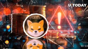 هشدار مهمی که به صاحبان جدید Shiba Inu داده شده است. در اینجا دلیل است