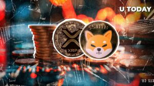 Red in Shib ، به عنوان یک بازار رمزنگاری ، به آخرین نظرات فدرال واکنش نشان می دهد