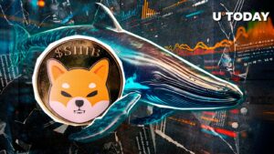 93 ٪ از دست دادن در فرآیند نهنگ Shiba Inu (Shib): استنتاج ها چیست؟