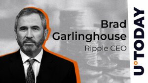 مدیرعامل Ripple به تصمیم شگفت آور SEC واکنش نشان می دهد