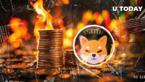 چگونه سوختگی Shib بر قیمت Shiba Inu تأثیر می گذارد؟