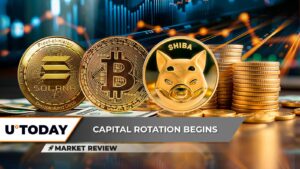 Solana (سمت چپ): بدترین کاهش در 3 سال نابودی بیت کوین دلار آمریکا (BTC) است؟ بازیابی غافلگیرکننده Shiba Inu (Shib) ممکن است