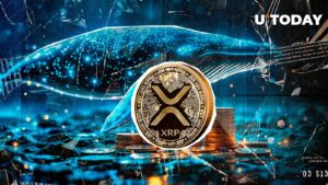 نهنگ های XRP در 24 ساعت به 150 میلیون دیوانگی تجمع می روند ، بعد چیست؟