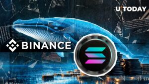 نهنگ های Binance میلیون ها نفر را از بین می برند: چه خبر است؟