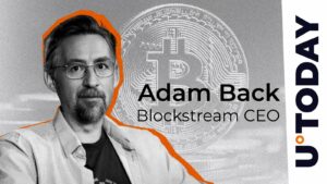 از آنجا که قیمت BTC برنده می شود ، مرد یک مورد Ascension را برای بیت کوین ایجاد می کند