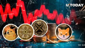 XRP ، Island ، Shib ، Crypto Liquids Red Doge به عنوان بهترین 556 میلیون دلار