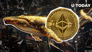 نهنگ خفته اتریوم (ETH) قبل از تصادف 228 میلیون دلار Bitfinex واریز شد