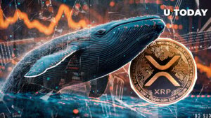 نهنگ های XRP به 40 ٪ قطره اهمیت نمی دهند: blockchain XRP نشان می دهد