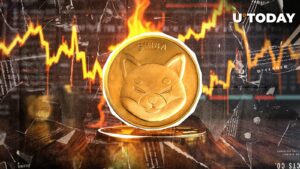 2.261.918 Shib ، Shiba Inu سرعت سوزاندن به عنوان Skyrokets 226: جزئیات