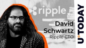 Ripple CTO بر سود کاربر کلیدی از سموم دارایی ریپل تأکید می کند