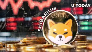 معاملات Shibarium 98 ٪ کاهش یافته است ، در اینجا تأثیر آن بر قیمت Shib است