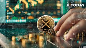 کاندیدای Ball Satoshi XRP با ذکر افزایش ابرو