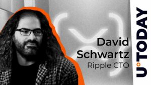 XRPL و غیره بیت کوین: Ripple CTO پردازش فنی مقایسه می کند