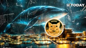 Shiba Inu Netflows 764 ٪ Skyrocket ، نهنگ ها؟