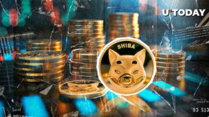 Shiba Inu (Shib): این بهبودی نیست ، به همین دلیل