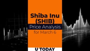 تخمین قیمت Shib برای 6 مارس