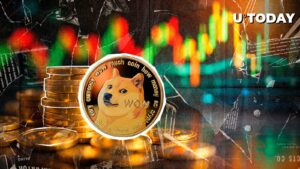 792.000،000 Doge - در عرض چند دقیقه چه می گذرد؟