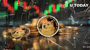 1000.000،000 Doge در 24 ساعت - چه خبر است؟