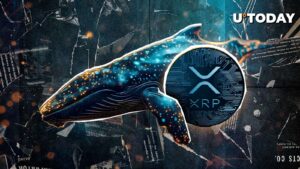 هشدار نهنگ XRP: 380،084،007 XRP در عرض چند دقیقه حرکت کرد