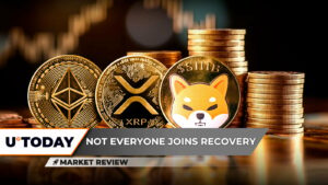 XRP برای افزایش قیمت به این پیشرفت نیاز دارد ، Shiba Inu (Shib) در بازیابی بازار شرکت نمی کند؟ Ethereum (ETH) برای بازگرداندن آنها به 26 ٪ نیاز دارد