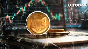 shiba inu (shib) قیمت masif fakeout