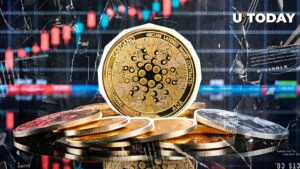 Cardano (ADA) حجم Skyrokets 1700 ٪ ، چه خبر است؟