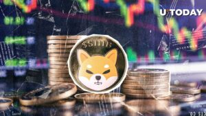 تحقیقات Shiba Inu (Shib) به 40 ٪ باز می گردد: بعدی چیست؟
