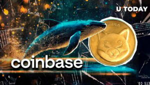 نهنگ مرموز Shiba Inu 174.6 میلیارد Shibs در Coinbase پرتاب می کند