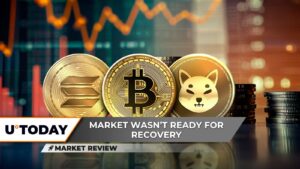 آیا بیت کوین (BTC) با قیمت 100000 دلار آماده است؟ Solana (سمت چپ) Skyrokets ، اما به اشتباه ، Shiba Inu (Shib): آیا امیدی وجود دارد؟
