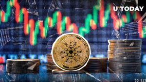 در 24 ساعت ، 6،880.000،000 Cardano (جزیره) ، چه خبر است؟