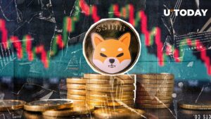 آیا آنها از پایین ترین سطح روز ریباند Shiba Inu 7 ریباند؟