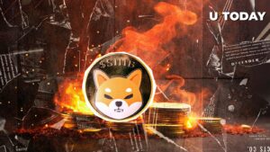 skyrokets سرعت سوختگی Shiba inu 5.440 ٪ ، میلیون ها Shib سوزانده شدند