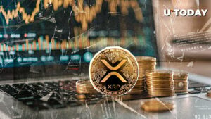 Active XRP آدرس Skyrocket Crazy 620 ٪ ، چه خبر است