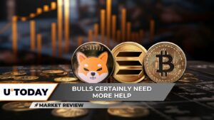 SHIBA INU (SHIB) سیگنال حجم گریم بیت کوین (BTC) را ارائه می دهد: آیا سعی در شکستن 90،000 دلار دارد؟ سولانا (سمت چپ): روزهای قبل از بهبودی؟